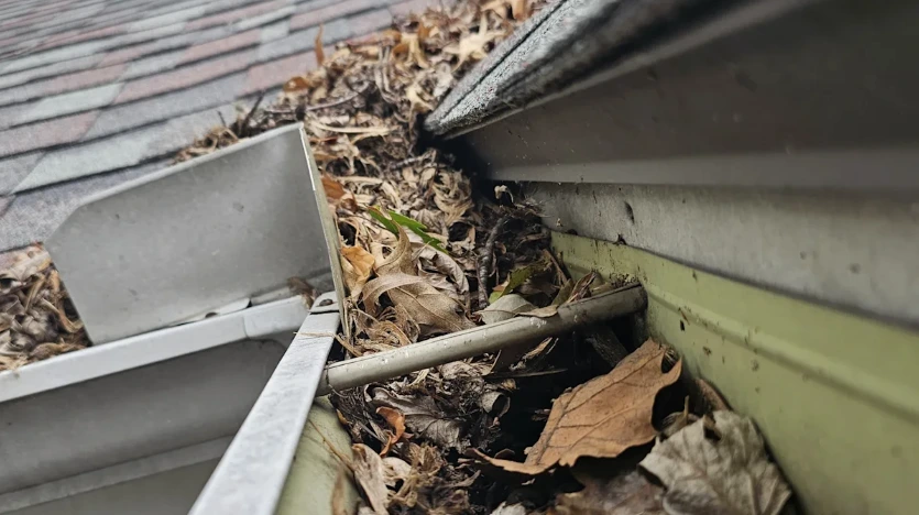 Clogged Gutters